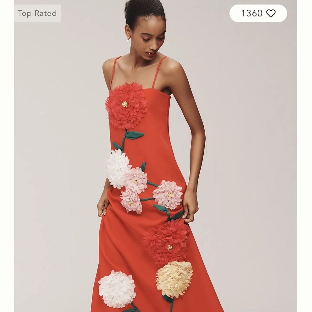Elliatt Buttercup Floral Appliqué Maxi Dress NWT